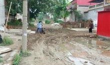 邯郸广平最新爆料,揭秘背后惊人真相！